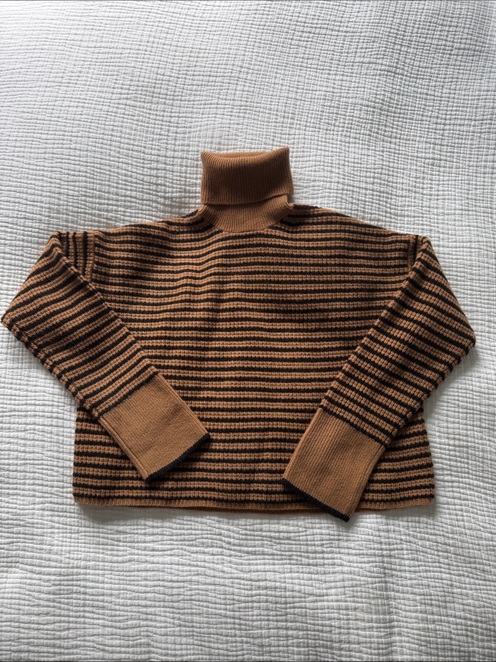 Madewell Brown and Black Striped Turtleneck Sweater